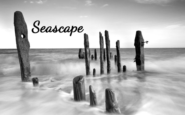 Seascape8